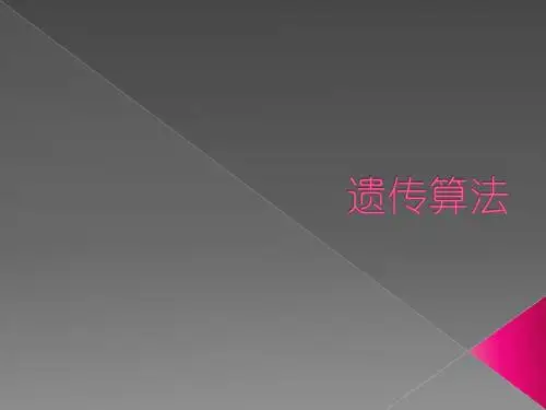 遗传算法