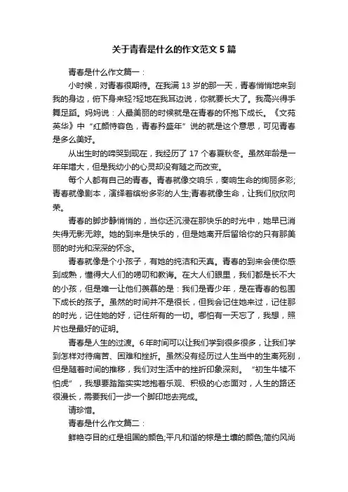 关于青春是什么的作文范文5篇