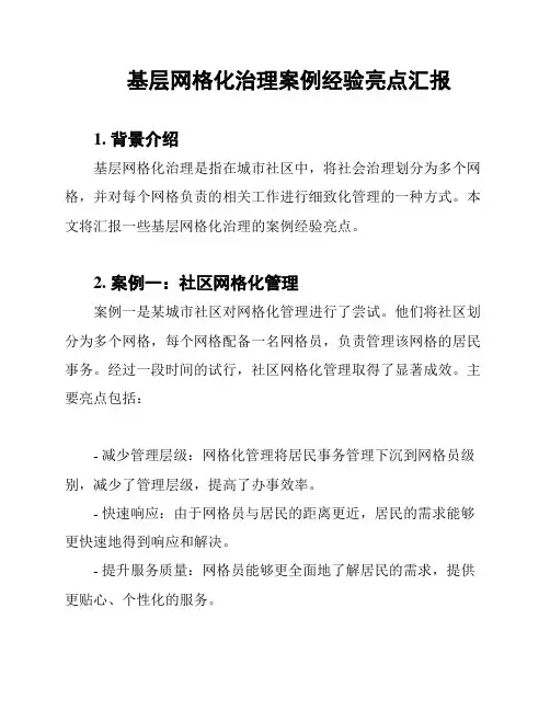 基层网格化治理案例经验亮点汇报