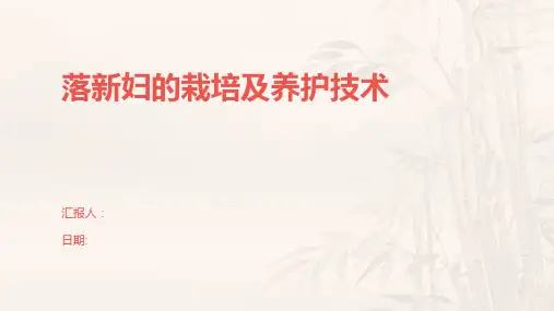 落新妇的栽培及养护技术