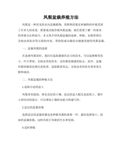 凤梨盆栽养殖方法