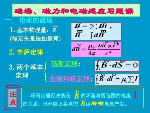 磁场、磁力和电磁感应习题课