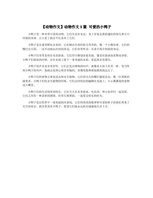 【动物作文】动物作文5篇 可爱的小鸭子