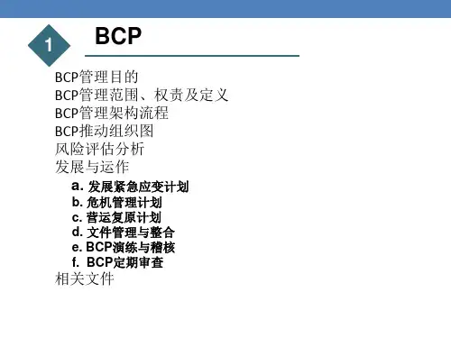 BCP业务连续性计划紧急应变程序