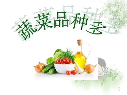 幼儿园科学：蔬菜品种多ppt课件