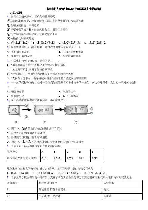 柳州市人教版七年级上学期期末生物试题