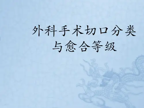 外科手术切口分类