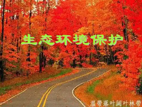 2023人教版选修6《森林及其保护》ppt1