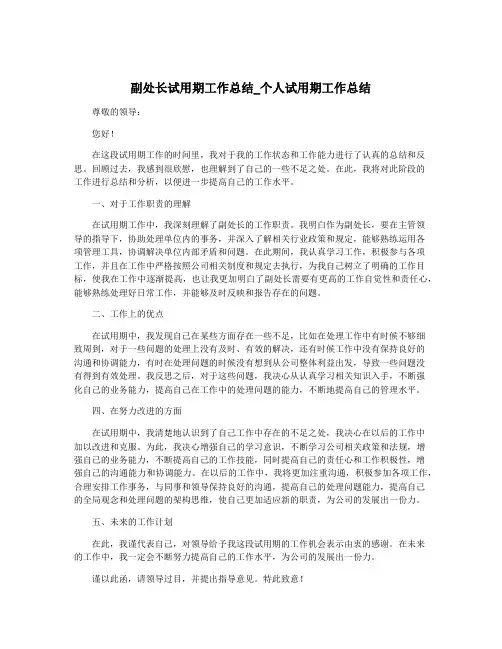 副处长试用期工作总结_个人试用期工作总结