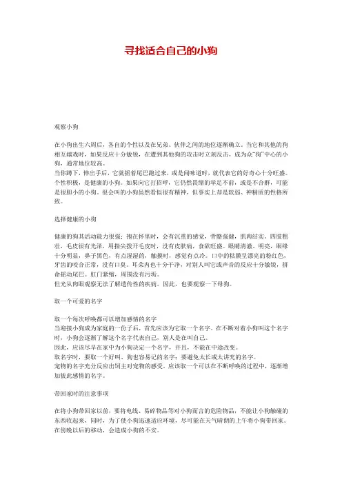幼犬的挑选