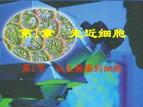 人教版教学课件走近细胞--第1节 从生物圈到细胞 课件(人教版)