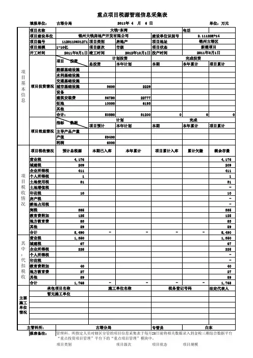重点项目税源管理信息采集表(大钱)