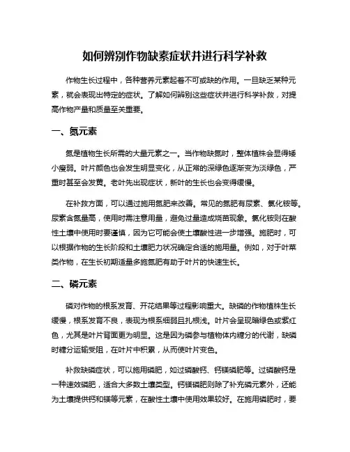 如何辨别作物缺素症状并进行科学补救