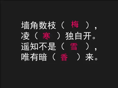 中国画——梅花的画法PPT课件