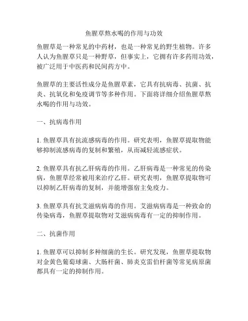 鱼腥草熬水喝的作用与功效