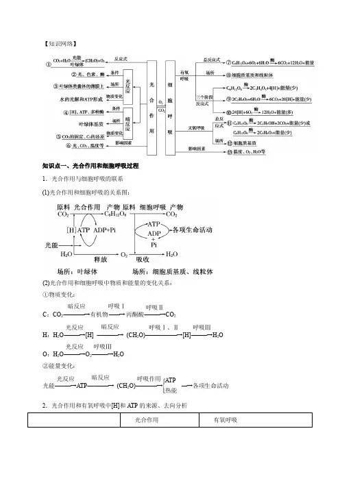 高考生物二轮复习专练：细胞呼吸与光合作用