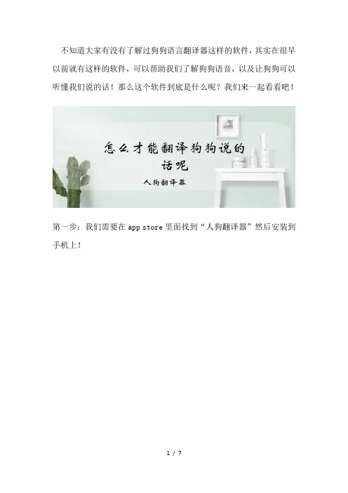 怎么才能翻译狗狗说的话呢