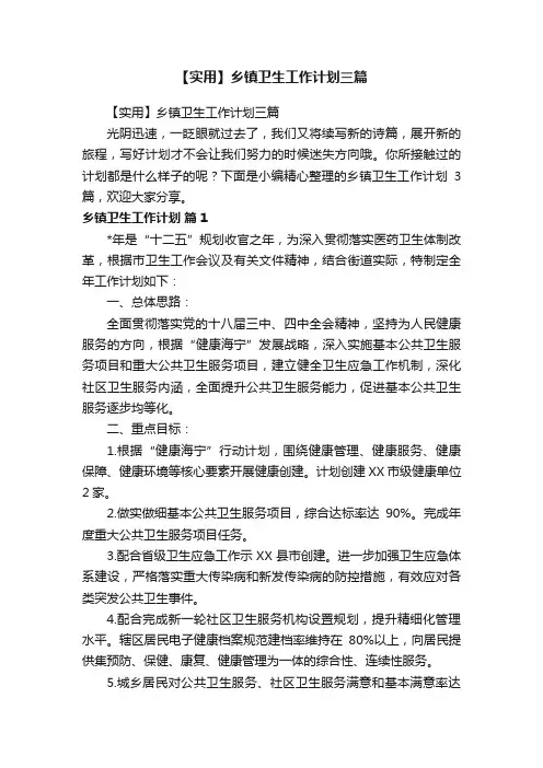 【实用】乡镇卫生工作计划三篇