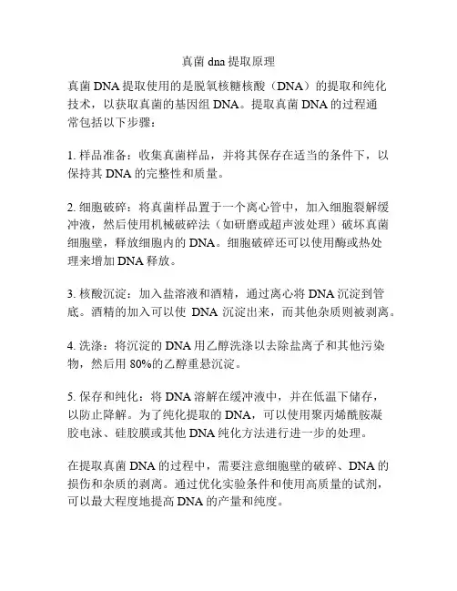 真菌dna提取原理