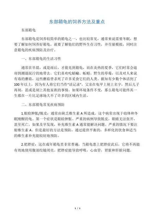 东部箱龟的饲养方法及重点