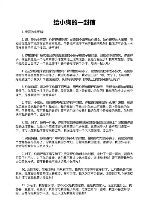 给小狗的一封信