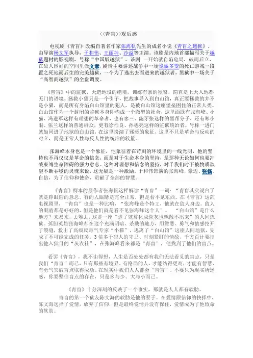 电视剧《青盲》读后感