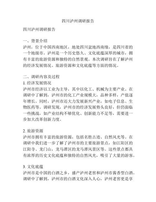 四川泸州调研报告