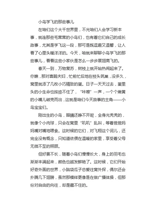小鸟学飞句子