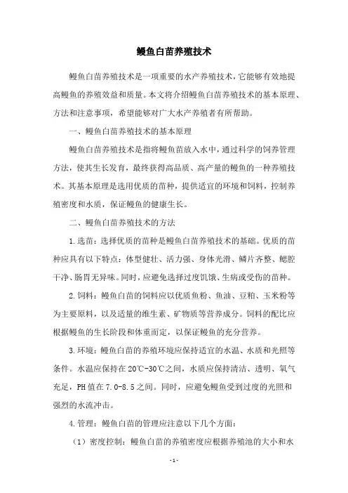 鳗鱼白苗养殖技术