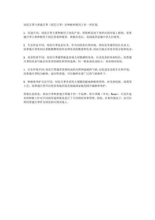 切花月季与普通月季的区别