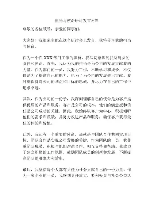 担当与使命研讨发言材料