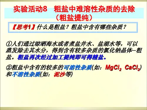 人教版九年级化学下册粗盐提纯