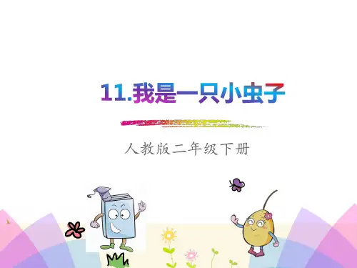 部编版二年级语文下册-《我是一只小虫子》完整课件