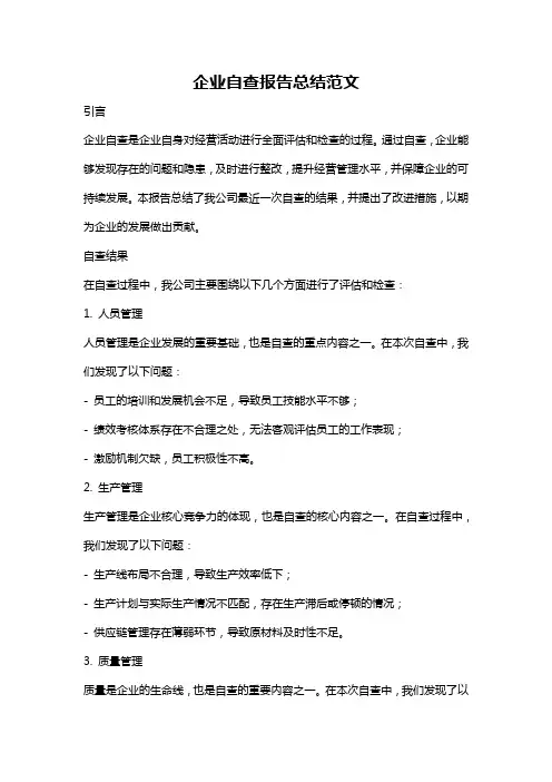 企业自查报告总结范文