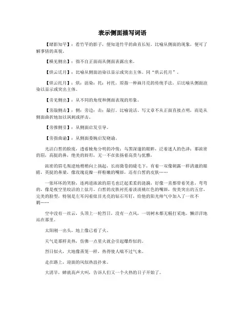 表示侧面描写词语