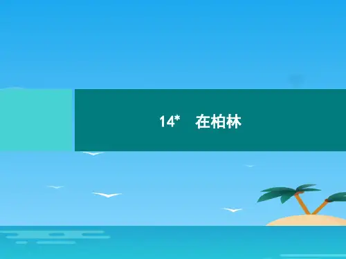 六年级上册语文习题课件-14 在柏林｜部编版
