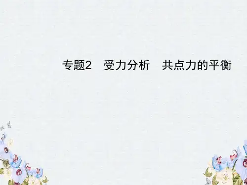 2019高考一轮复习人教物理课件第二章 相互作用2.3