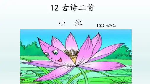 【人教部编版小学语文】小池PPT完美课件1