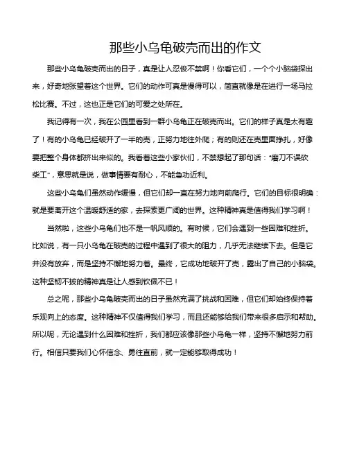 那些小乌龟破壳而出的作文