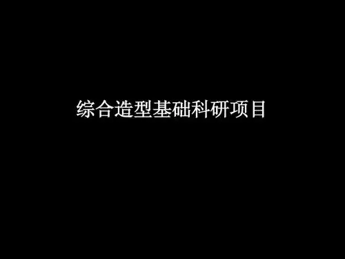 综合造型