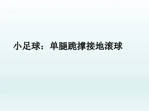 五年级体育课件-单腿跪撑接地滚球 全国通用