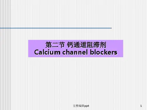 钙通道阻滞剂PPT课件
