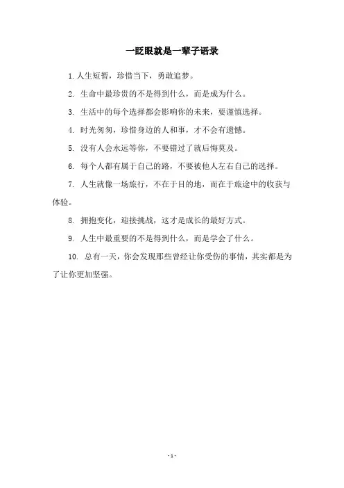一眨眼就是一辈子语录