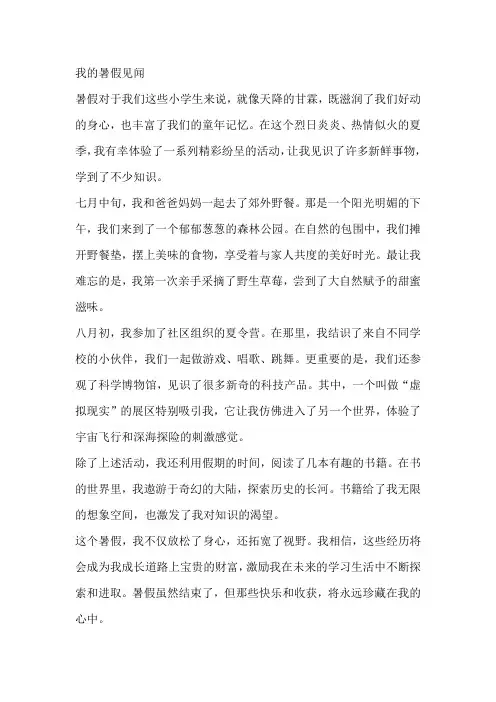 2024暑假作业《我的暑假见闻》满分作文