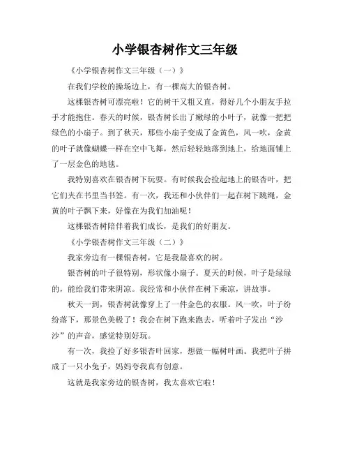 小学银杏树作文三年级