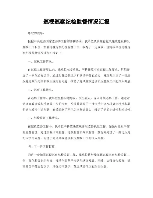 巡视巡察纪检监督情况汇报