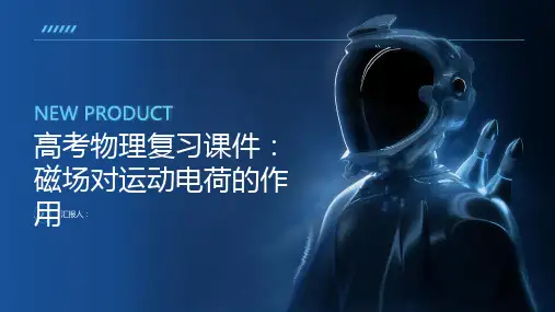 高考物理复习课件：磁场对运动电荷的作用