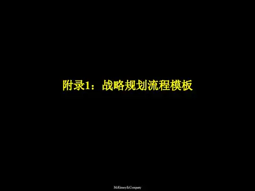 战略规划流程和模板讲义