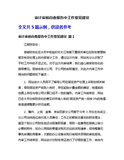 审计审前自查报告中工作意见建议