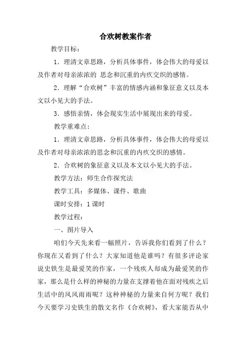 合欢树教案作者